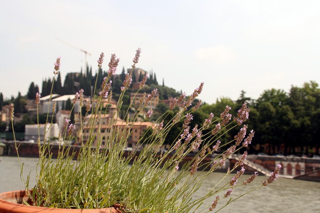 Sottoriva36 Bed and Breakfast Verona Buitenkant foto